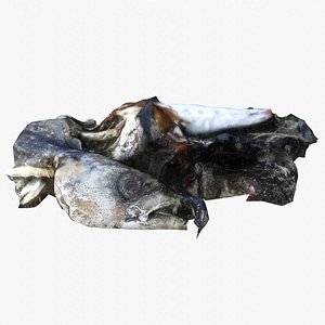 Dead Fish 3D model