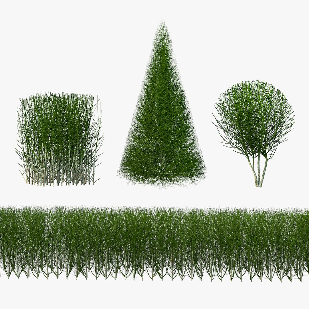 Bare Shrubs Collection 3D model preview