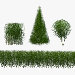 Bare Shrubs Collection