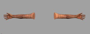 hands model