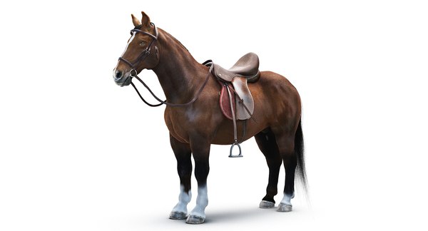 Cavalo realista e RIGGED Modelo 3D $199 - .max - Free3D