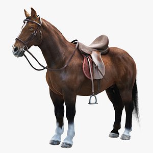 realistic horse saddle 3d max