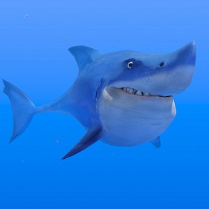 shark animations 3D model