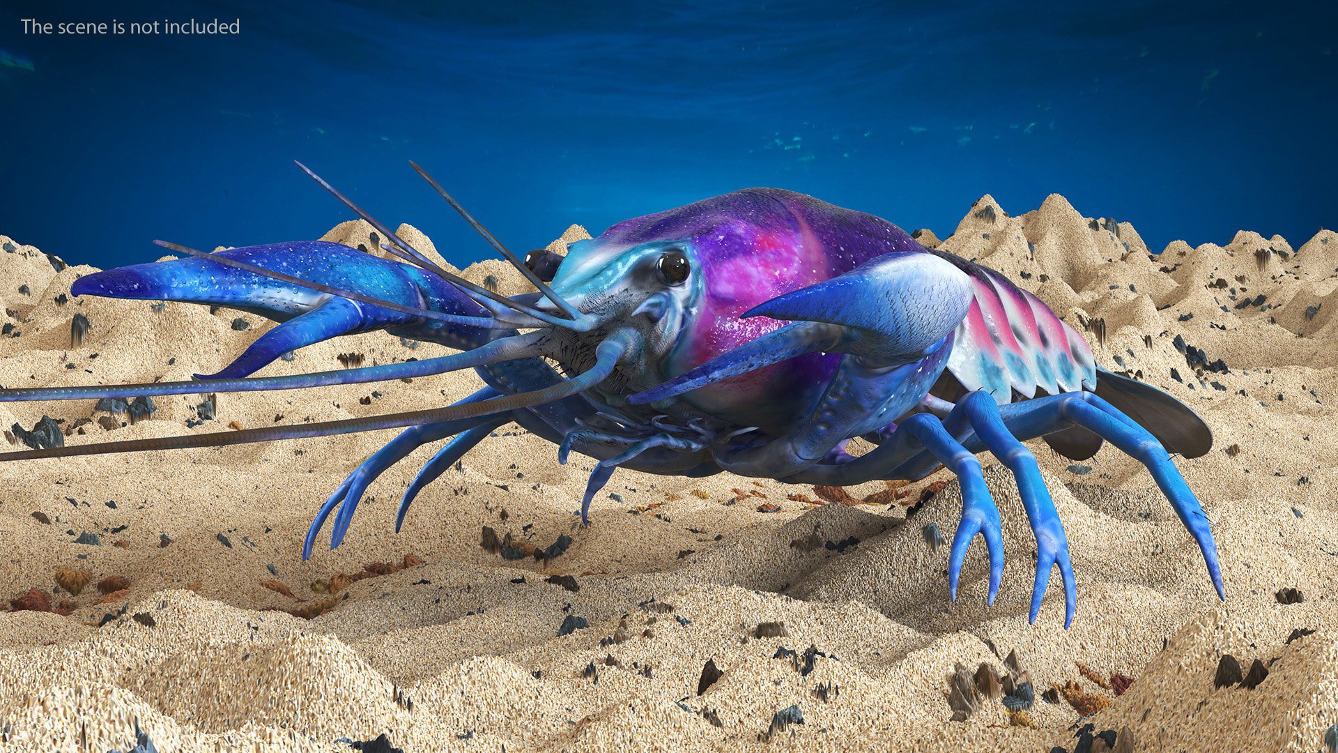 Blue Crayfish Rigged 3D Model - TurboSquid 2163579