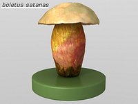 boletus satanas