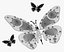 Cyber Butterfly M1 meccanico