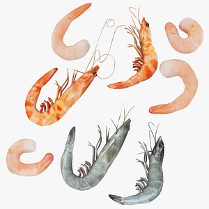 shrimp and Prawn 8 in 1