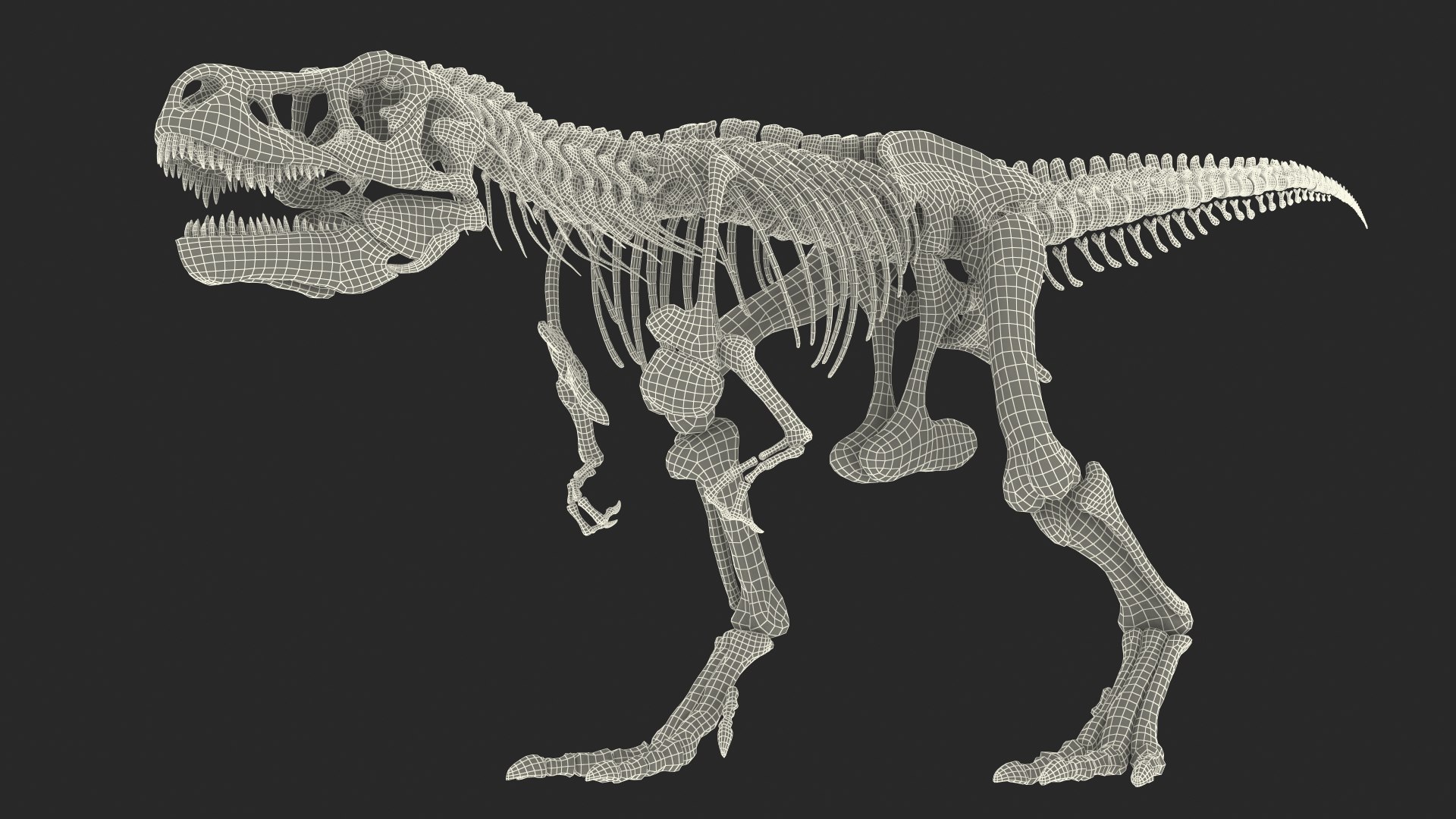 tyrannosaurus rex skeleton fossil 3D https://p.turbosquid.com/ts-thumb/D3/XNMOUs/3BL3p1fV/tyrannosaurusrexwithskeletonfossilriggedcollection3dmodel029/jpg/1575646989/1920x1080/fit_q87/86fc165da4e2b53e4185eb682d2f69ad02b0927d/tyrannosaurusrexwithskeletonfossilriggedcollection3dmodel029.jpg