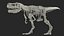 Tyrannosaurus Rex with Skeleton Fossil Rigged Collection for Cinema 4D
