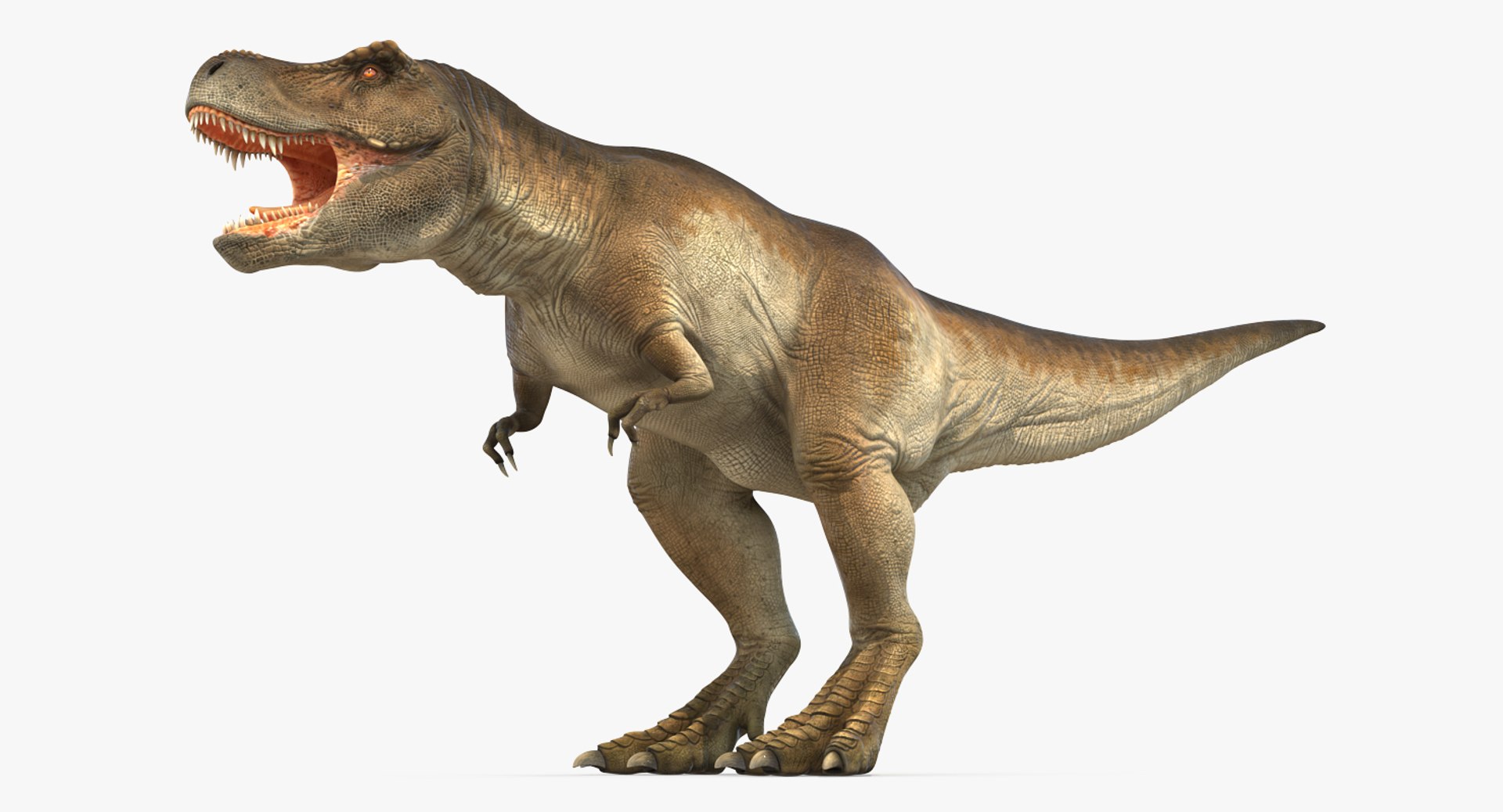 tyrannosaurus rex skeleton fossil 3D https://p.turbosquid.com/ts-thumb/D3/XNMOUs/5ChLdLI9/tyrannosaurusrexwithskeletonfossilriggedcollection3dmodel017/jpg/1575646978/1920x1080/fit_q87/0cf147b29f2e16fb98cc9d4de0a8a6d6e236fd76/tyrannosaurusrexwithskeletonfossilriggedcollection3dmodel017.jpg