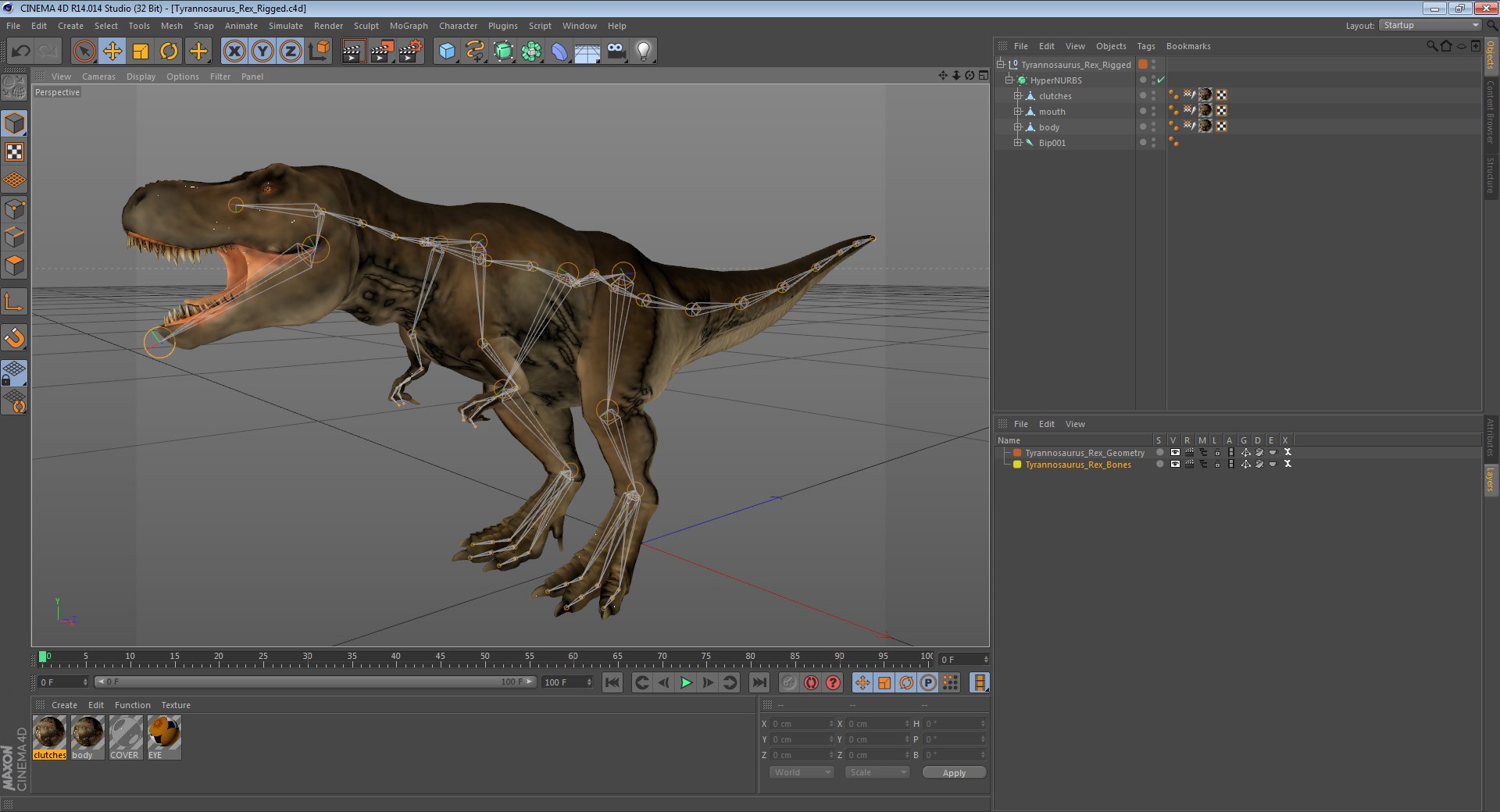 tyrannosaurus rex skeleton fossil 3D https://p.turbosquid.com/ts-thumb/D3/XNMOUs/5UErUIt4/tyrannosaurusrexriggedcinemac4d3dmodel22/jpg/1582711418/1920x1080/fit_q87/7e307b1ce7d87760ed14c52c4ac17ccdbc09dae7/tyrannosaurusrexriggedcinemac4d3dmodel22.jpg