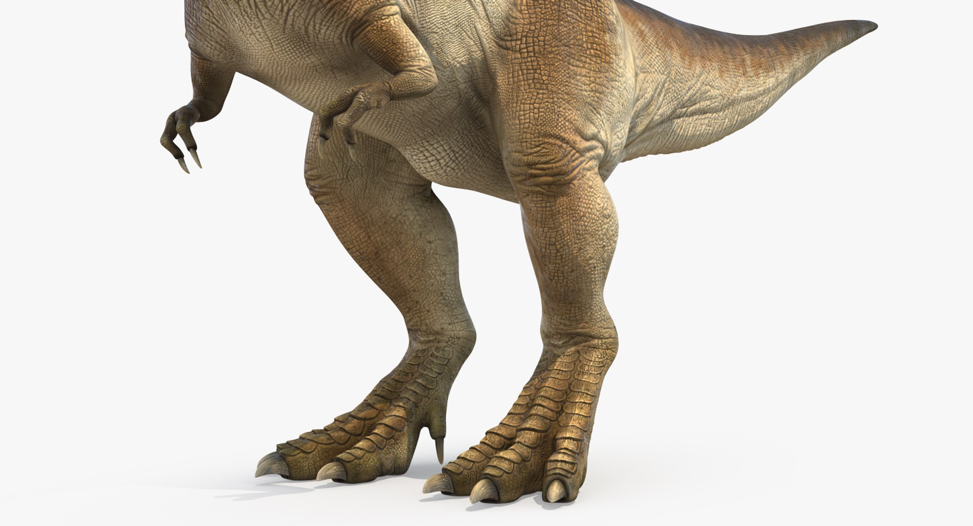 tyrannosaurus rex skeleton fossil 3D https://p.turbosquid.com/ts-thumb/D3/XNMOUs/EZK6bIsF/tyrannosaurusrexwithskeletonfossilriggedcollection3dmodel027/jpg/1575646987/1920x1080/fit_q87/1f0a15c290f82dd48aab736dd0f9f5fa850a2c60/tyrannosaurusrexwithskeletonfossilriggedcollection3dmodel027.jpg