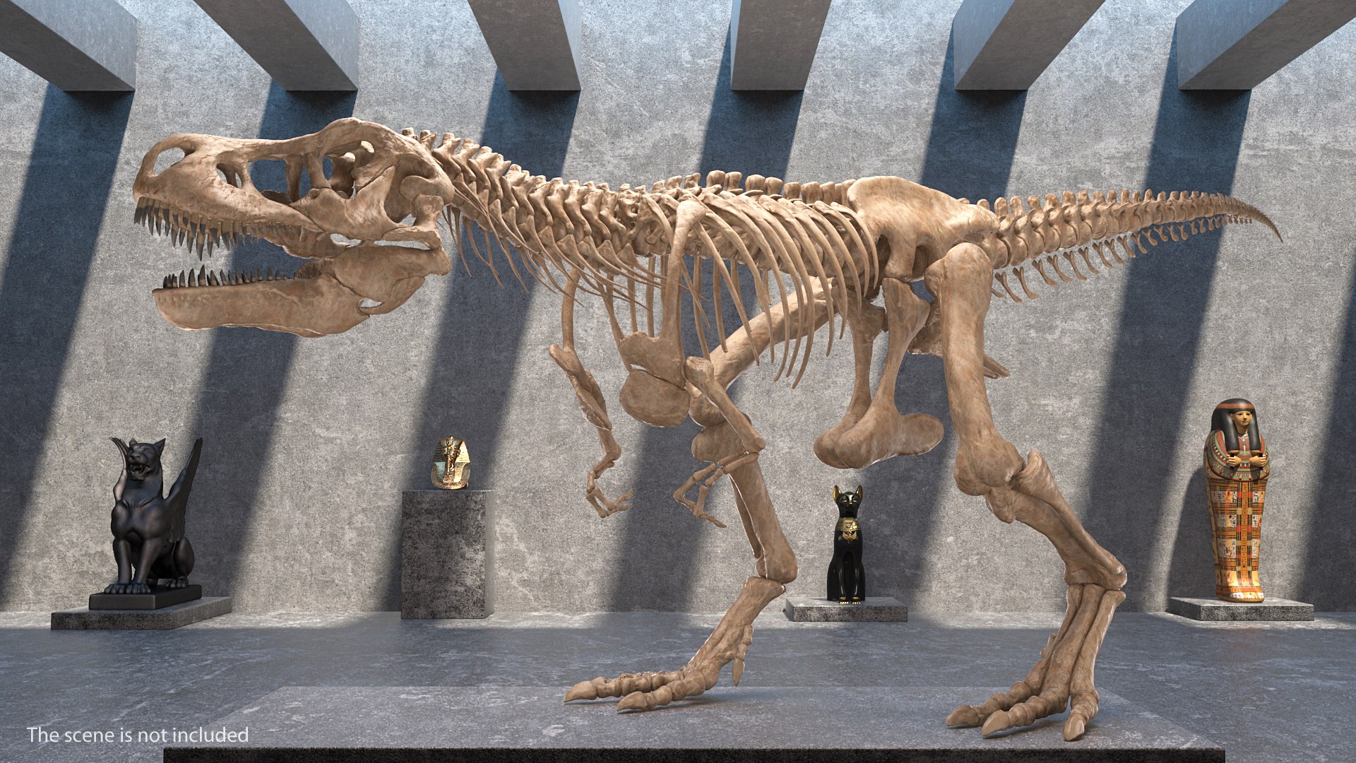 tyrannosaurus rex skeleton fossil 3D https://p.turbosquid.com/ts-thumb/D3/XNMOUs/F7xMym4N/tyrannosaurusrexwithskeletonfossilriggedcollection3dmodel003/jpg/1575646965/1920x1080/fit_q87/f1fbf9d838f340edf6cf587c317ffee7b8e99b74/tyrannosaurusrexwithskeletonfossilriggedcollection3dmodel003.jpg