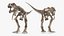 Tyrannosaurus Rex with Skeleton Fossil Rigged Collection for Cinema 4D