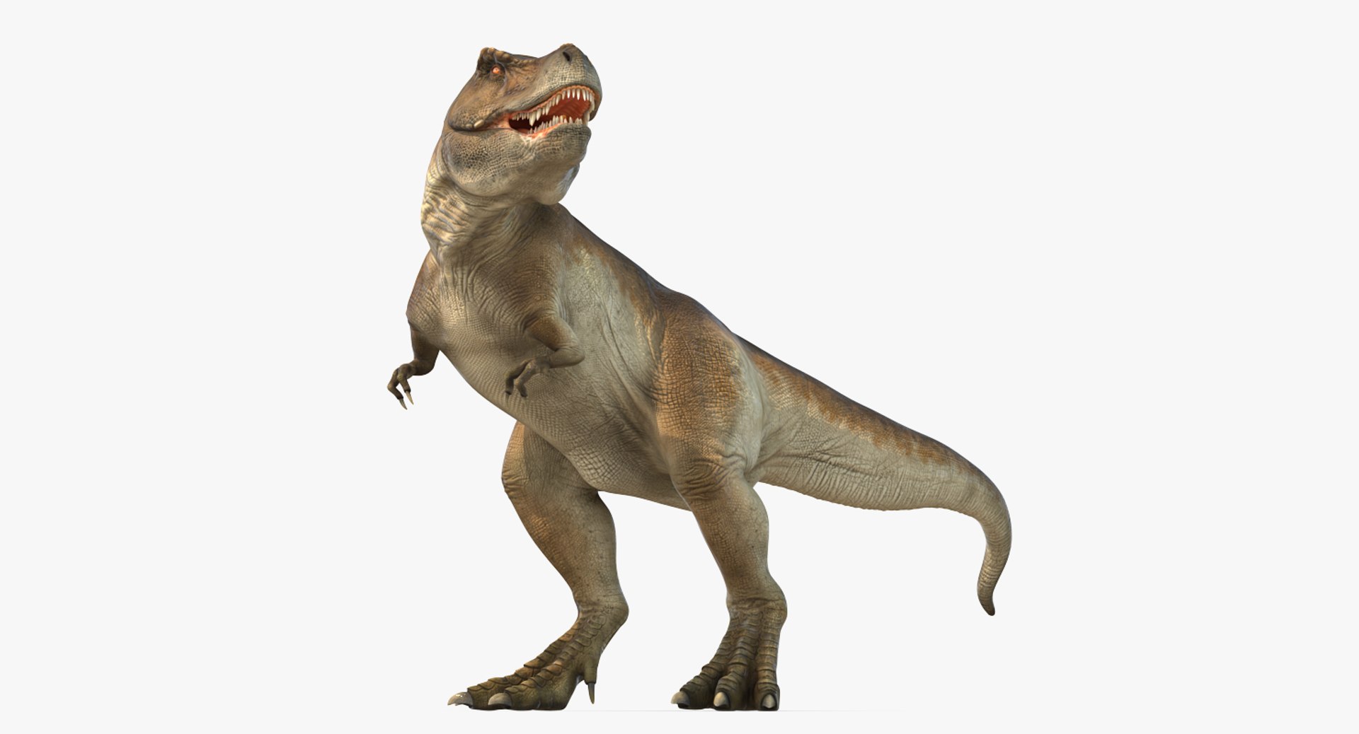 tyrannosaurus rex skeleton fossil 3D https://p.turbosquid.com/ts-thumb/D3/XNMOUs/P5FNgCPJ/tyrannosaurusrexwithskeletonfossilriggedcollection3dmodel019/jpg/1575646979/1920x1080/fit_q87/09d8daf328b7edb74dd5aa2d0627659dbec41246/tyrannosaurusrexwithskeletonfossilriggedcollection3dmodel019.jpg
