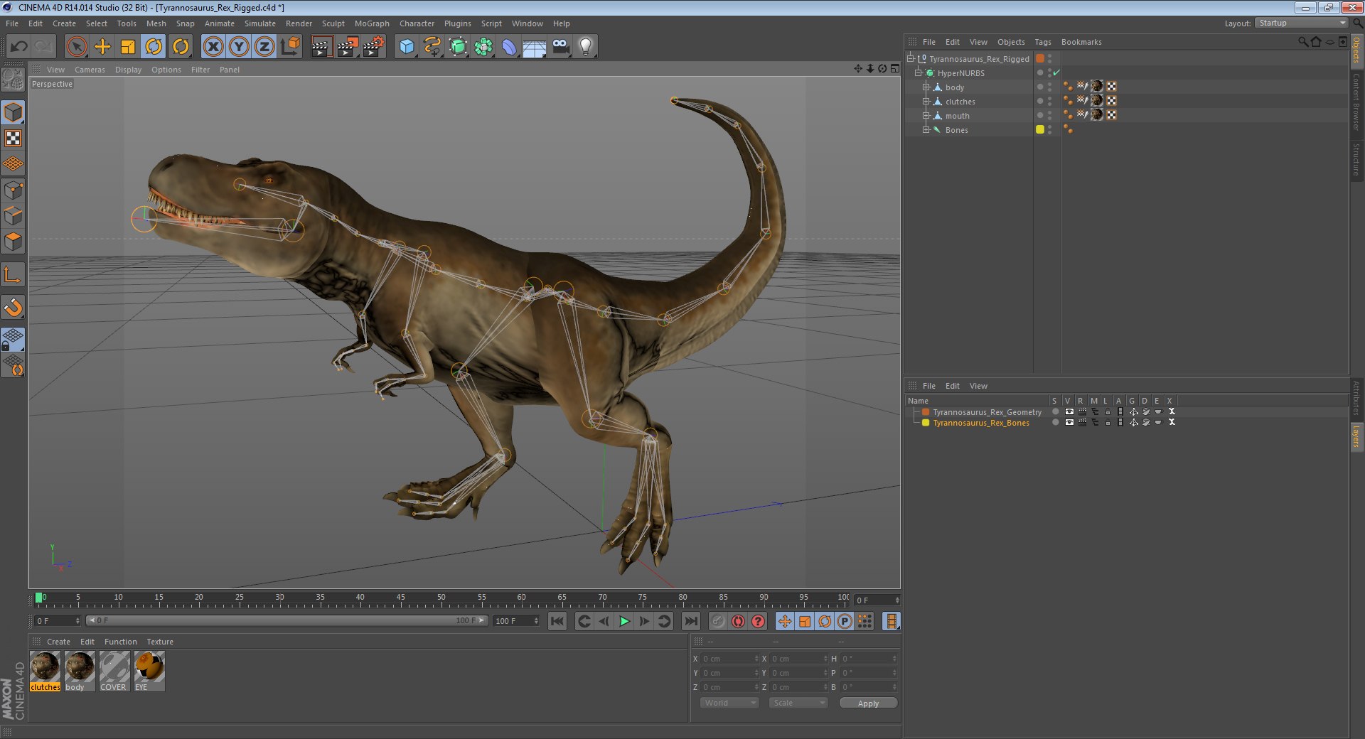 tyrannosaurus rex skeleton fossil 3D https://p.turbosquid.com/ts-thumb/D3/XNMOUs/ReLB5O4N/tyrannosaurusrexriggedcinemac4d3dmodel23/jpg/1582711418/1920x1080/fit_q87/a4ff6c80917e2b09651083d46b964bed6280c18f/tyrannosaurusrexriggedcinemac4d3dmodel23.jpg