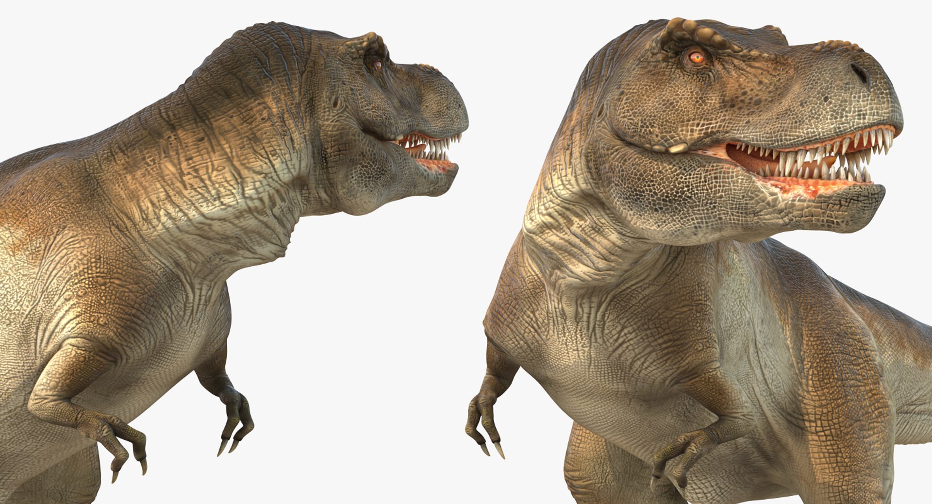 tyrannosaurus rex skeleton fossil 3D https://p.turbosquid.com/ts-thumb/D3/XNMOUs/YdeMWkIG/tyrannosaurusrexwithskeletonfossilriggedcollection3dmodel025/jpg/1575646985/1920x1080/fit_q87/68ff3cc32190d655b406cb0dbf2725c7aea7ee2b/tyrannosaurusrexwithskeletonfossilriggedcollection3dmodel025.jpg