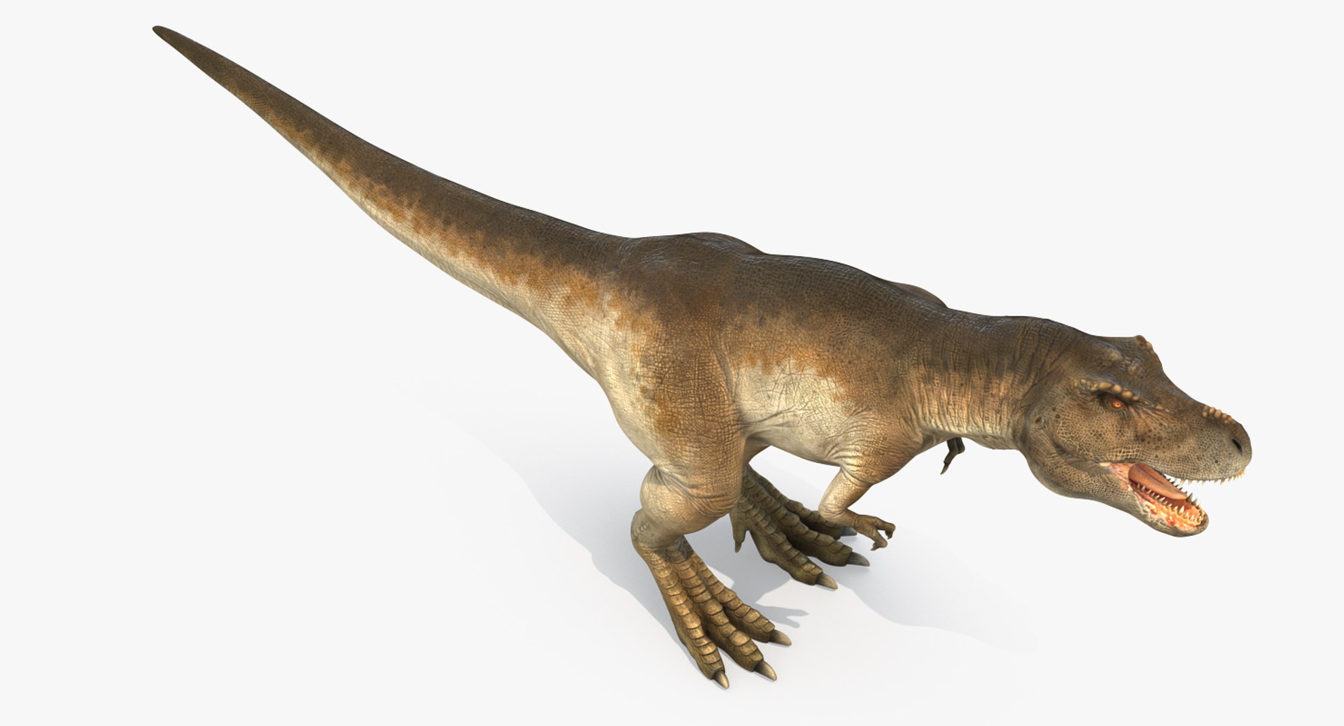 tyrannosaurus rex skeleton fossil 3D https://p.turbosquid.com/ts-thumb/D3/XNMOUs/azffLQoM/tyrannosaurusrexwithskeletonfossilriggedcollection3dmodel023/jpg/1575646984/1920x1080/fit_q87/b1825c43ae46087f23841d6376e5f6f8be214342/tyrannosaurusrexwithskeletonfossilriggedcollection3dmodel023.jpg
