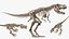 Tyrannosaurus Rex with Skeleton Fossil Rigged Collection for Cinema 4D