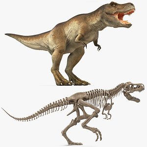 Tyrannosaurus Rex with Skeleton Fossil Rigged Collection for Cinema 4D