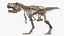 Tyrannosaurus Rex with Skeleton Fossil Rigged Collection for Cinema 4D