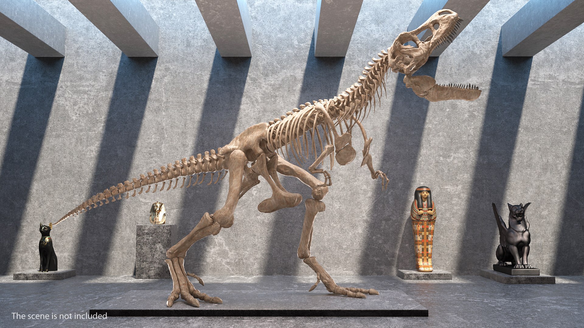 tyrannosaurus rex skeleton fossil 3D https://p.turbosquid.com/ts-thumb/D3/XNMOUs/y8aDYGQx/tyrannosaurusrexwithskeletonfossilriggedcollection3dmodel004/jpg/1575646966/1920x1080/fit_q87/2f89c608e9987e990db2c88f613785f457fa5a46/tyrannosaurusrexwithskeletonfossilriggedcollection3dmodel004.jpg