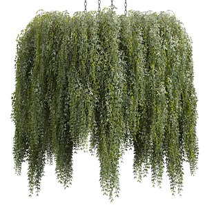 3D model plant vol 878 - bush - hanging - ampelous