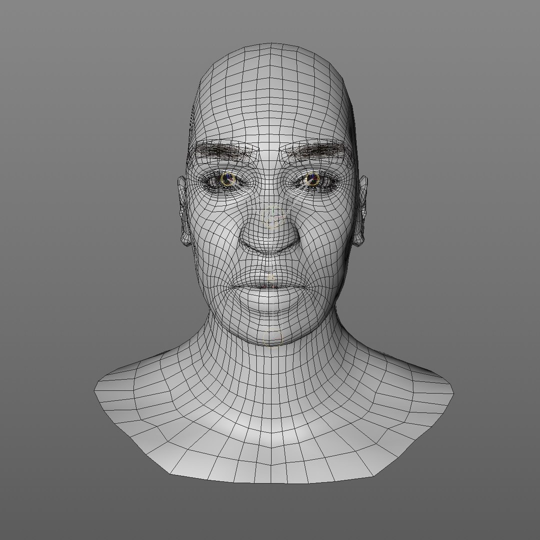 3D realistic head 24 year model https://p.turbosquid.com/ts-thumb/D3/YH2HMC/0oy9SDLT/24yrafricanmanhead2_0000/jpg/1566210023/1920x1080/fit_q87/1364fd70053c401264f98c5303d701f6897d191a/24yrafricanmanhead2_0000.jpg