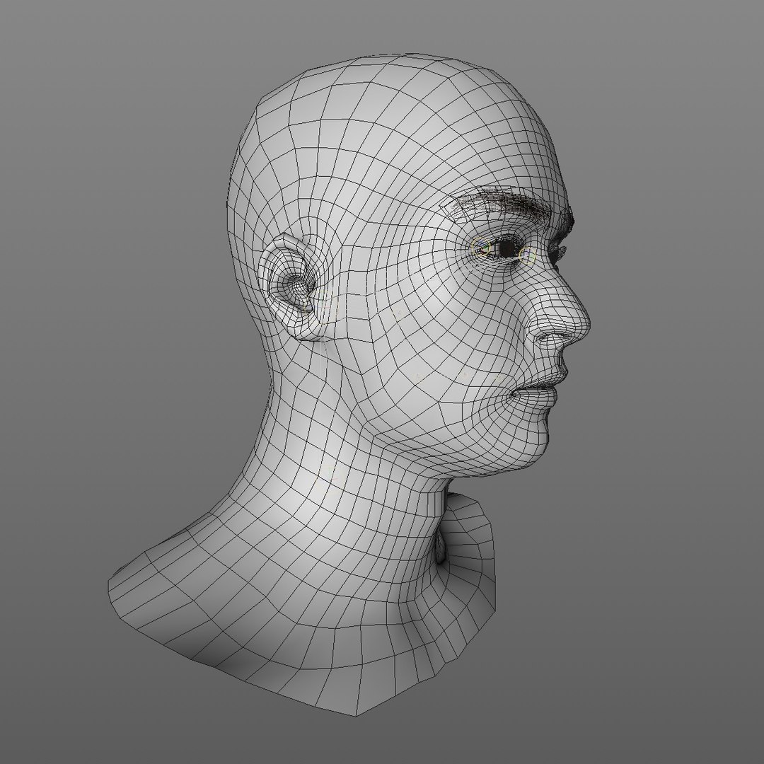3D realistic head 24 year model https://p.turbosquid.com/ts-thumb/D3/YH2HMC/36uSfjlp/24yreuromanv1head2_0010/jpg/1566210164/1920x1080/fit_q87/0b99183e1bc987c3dc21265987e6b88bcea915af/24yreuromanv1head2_0010.jpg