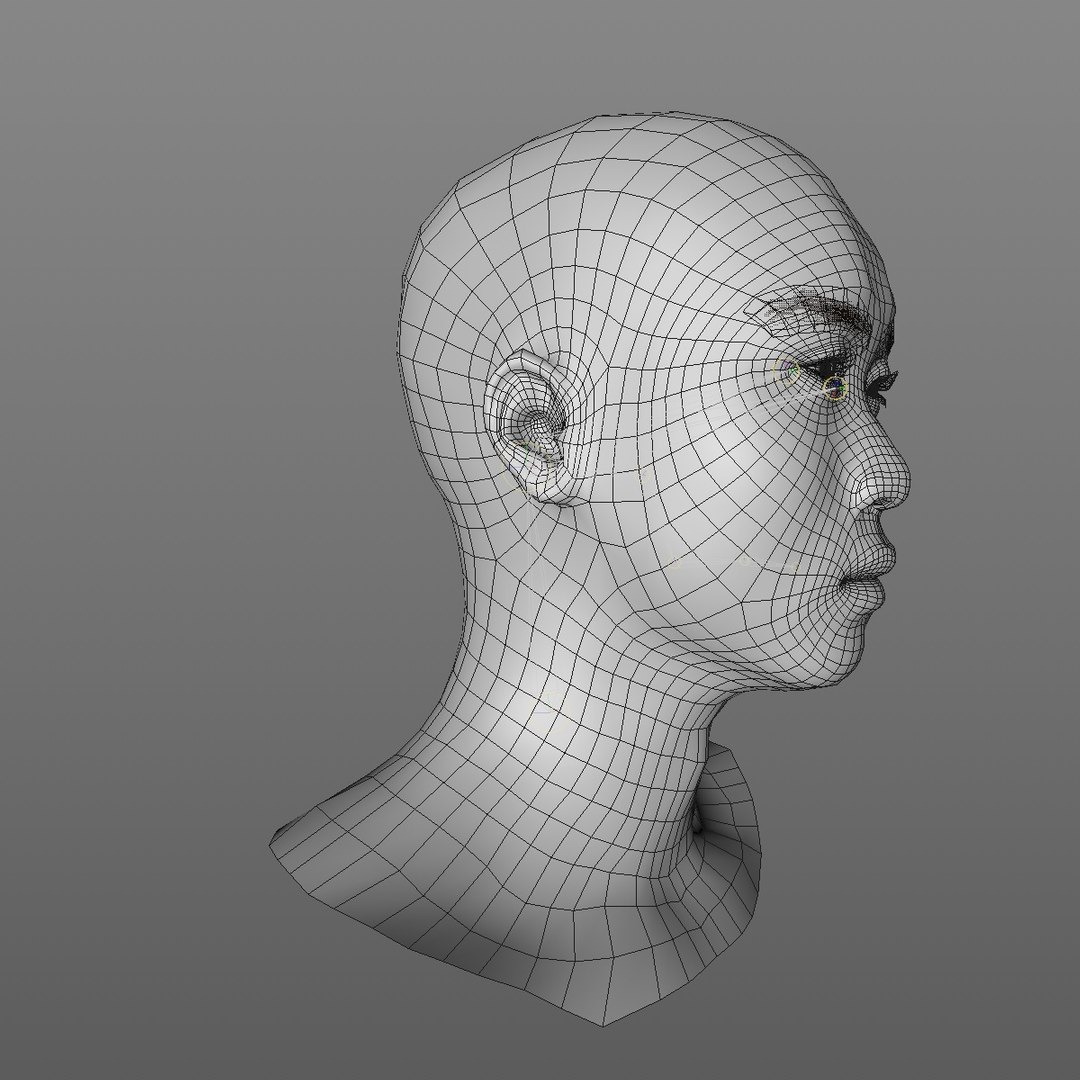 3D realistic head 24 year model https://p.turbosquid.com/ts-thumb/D3/YH2HMC/9mYPSmaP/24yrasianmanhead2_0010/jpg/1566210072/1920x1080/fit_q87/e9abbb02ededc3748f24fa4a6681455dcf2604ef/24yrasianmanhead2_0010.jpg