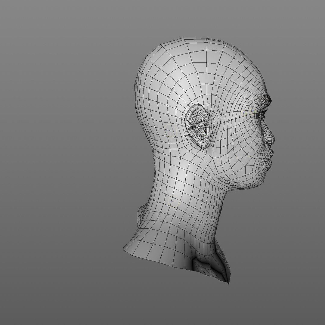 3D realistic head 24 year model https://p.turbosquid.com/ts-thumb/D3/YH2HMC/DpIQFDIC/24yrafricanmanhead2_0009/jpg/1566210024/1920x1080/fit_q87/c77929e65297c95faf8f49ea7071f79434f7f7b0/24yrafricanmanhead2_0009.jpg