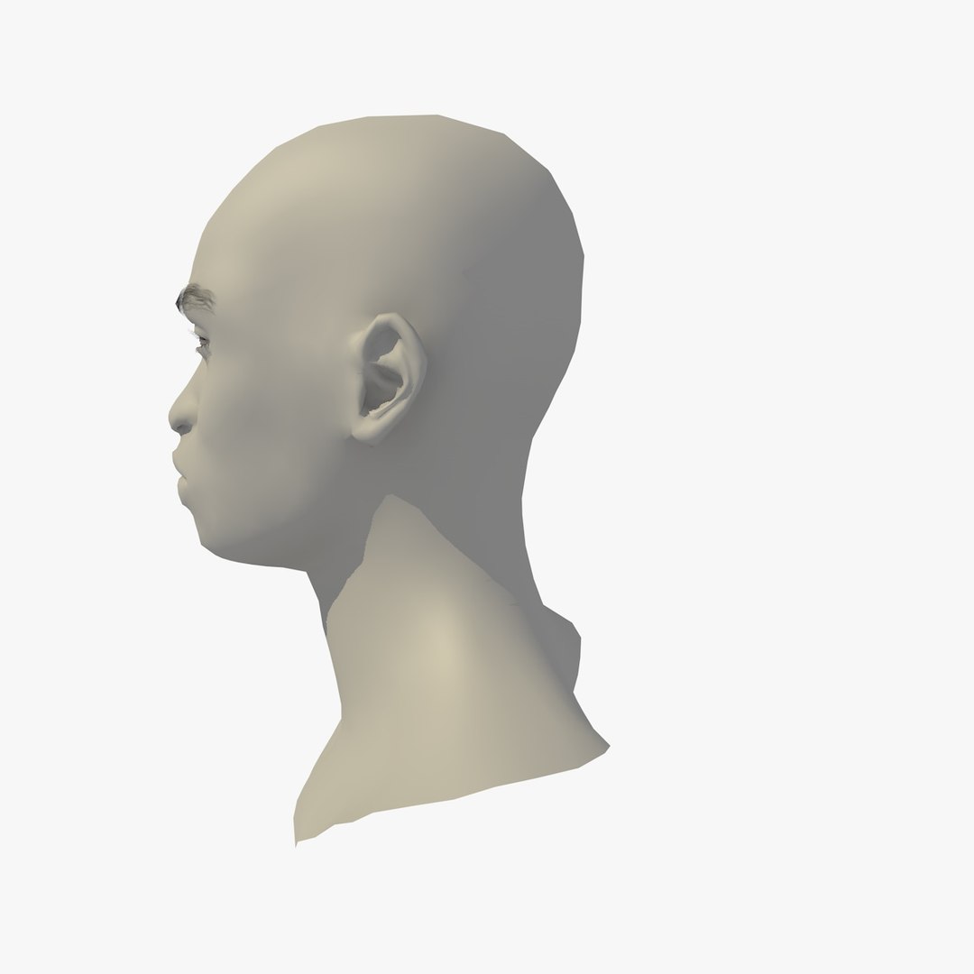 3D realistic head 24 year model https://p.turbosquid.com/ts-thumb/D3/YH2HMC/FKgiQPMO/24yrafricanmanhead1_0003/jpg/1566210022/1920x1080/fit_q87/6ccab641dc7e96e9077624f8bfe86af24ef6f90d/24yrafricanmanhead1_0003.jpg