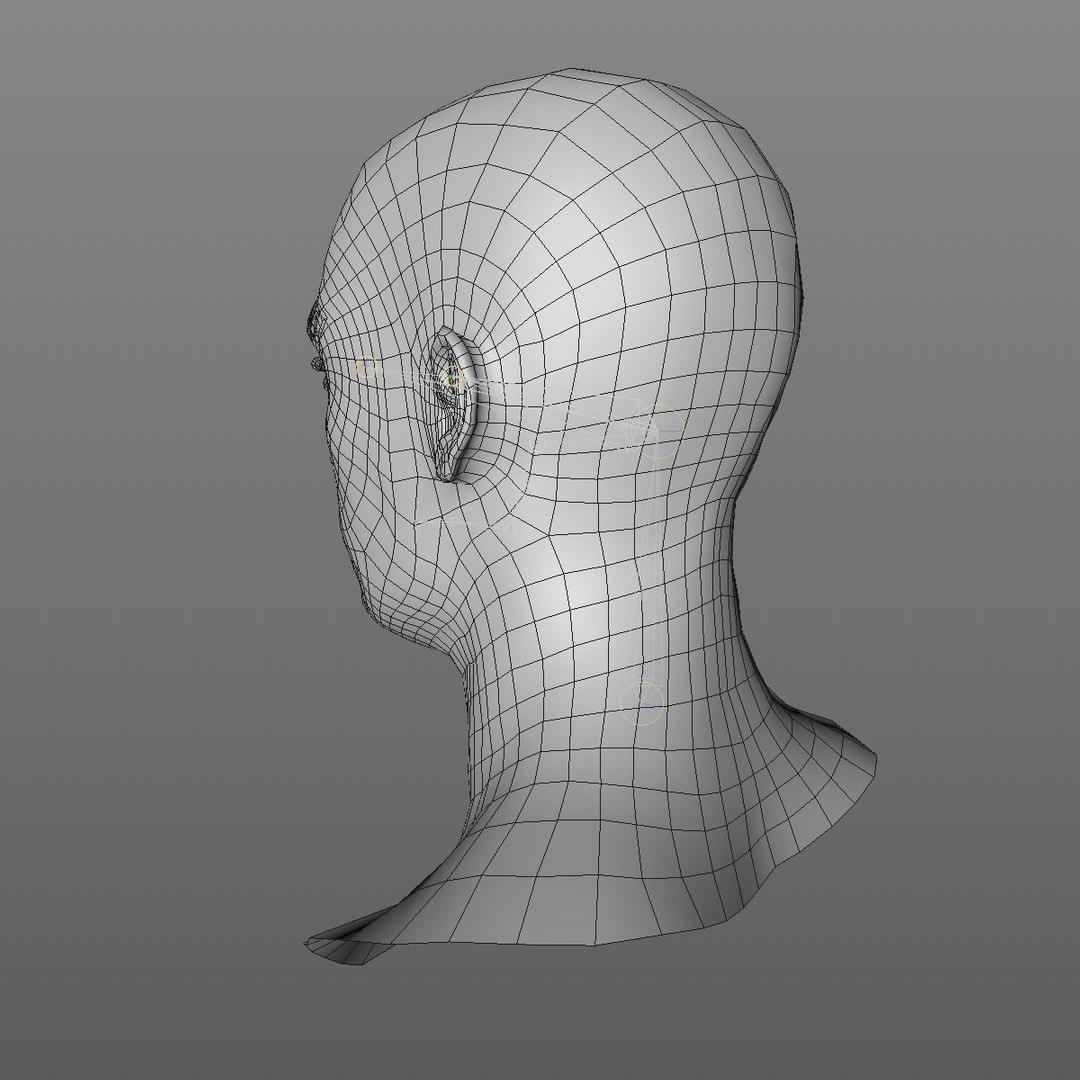3D realistic head 24 year model https://p.turbosquid.com/ts-thumb/D3/YH2HMC/HzbNPaaM/24yreuromanv1head2_0004/jpg/1566210164/1920x1080/fit_q87/5aa9654a3351f8fe784f1e7f95e8fc2099cdb206/24yreuromanv1head2_0004.jpg