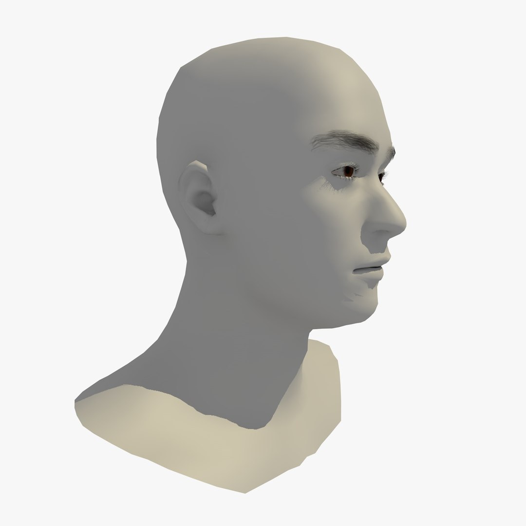 3D realistic head 24 year model https://p.turbosquid.com/ts-thumb/D3/YH2HMC/I7z5xGGC/24yreuromanv1head1_0010/jpg/1566210163/1920x1080/fit_q87/4155e884af502dd4a2f0a61282bb0c0d97da42e5/24yreuromanv1head1_0010.jpg