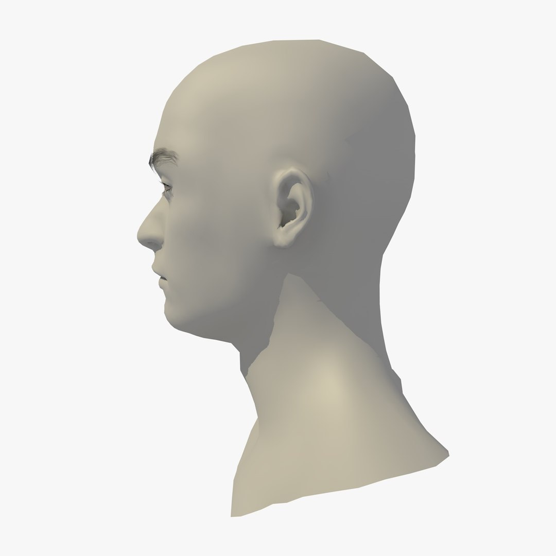 3D realistic head 24 year model https://p.turbosquid.com/ts-thumb/D3/YH2HMC/IGS0rWaQ/24yreuromanv1head1_0003/jpg/1566210162/1920x1080/fit_q87/feb30c903f9eeedfb636864ed872656fc5644dd5/24yreuromanv1head1_0003.jpg