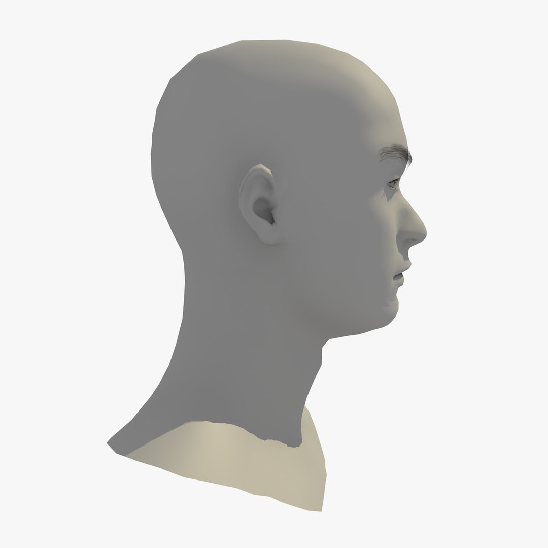3D realistic head 24 year model https://p.turbosquid.com/ts-thumb/D3/YH2HMC/LN3cIzmR/24yreuromanv1head1_0009/jpg/1566210163/1920x1080/fit_q87/1e4c196cbcd2d8a94c733672ca912aba965d9a47/24yreuromanv1head1_0009.jpg