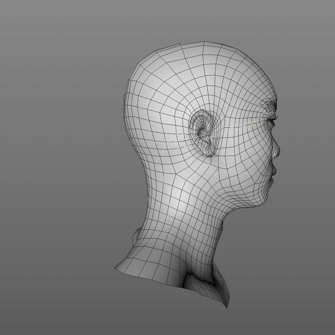 3D realistic head 24 year model https://p.turbosquid.com/ts-thumb/D3/YH2HMC/PKZSvakp/24yrasianmanhead2_0009/jpg/1566210072/1920x1080/fit_q87/8f60e513e7d507501404fec49e416a175847b716/24yrasianmanhead2_0009.jpg