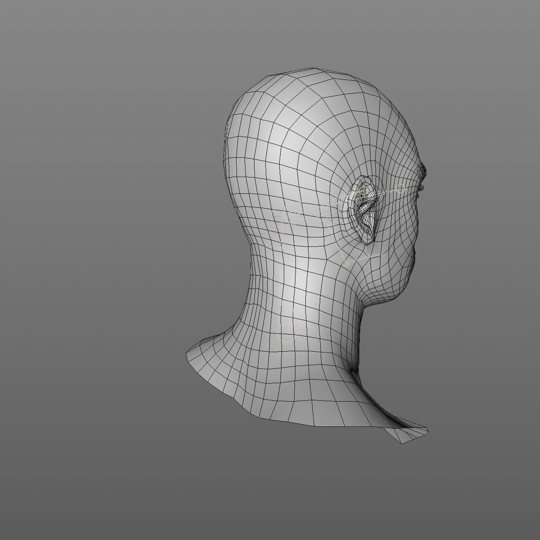 3D realistic head 24 year model https://p.turbosquid.com/ts-thumb/D3/YH2HMC/QEyYhgDB/24yrafricanmanhead2_0008/jpg/1566210024/1920x1080/fit_q87/7806012e3beb954d98565fcde1b5d6534c11480b/24yrafricanmanhead2_0008.jpg