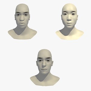 3D realistic head 24 year model