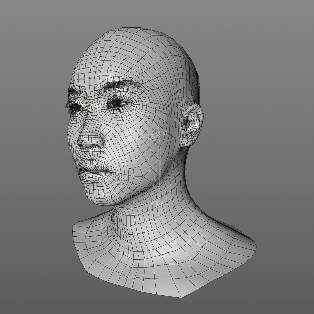 3D realistic head 24 year model https://p.turbosquid.com/ts-thumb/D3/YH2HMC/RTdCKIhC/24yrasianmanhead2_0001/jpg/1566210071/1920x1080/fit_q87/402839adff247615d61c34c77bd8d4657f0ed005/24yrasianmanhead2_0001.jpg