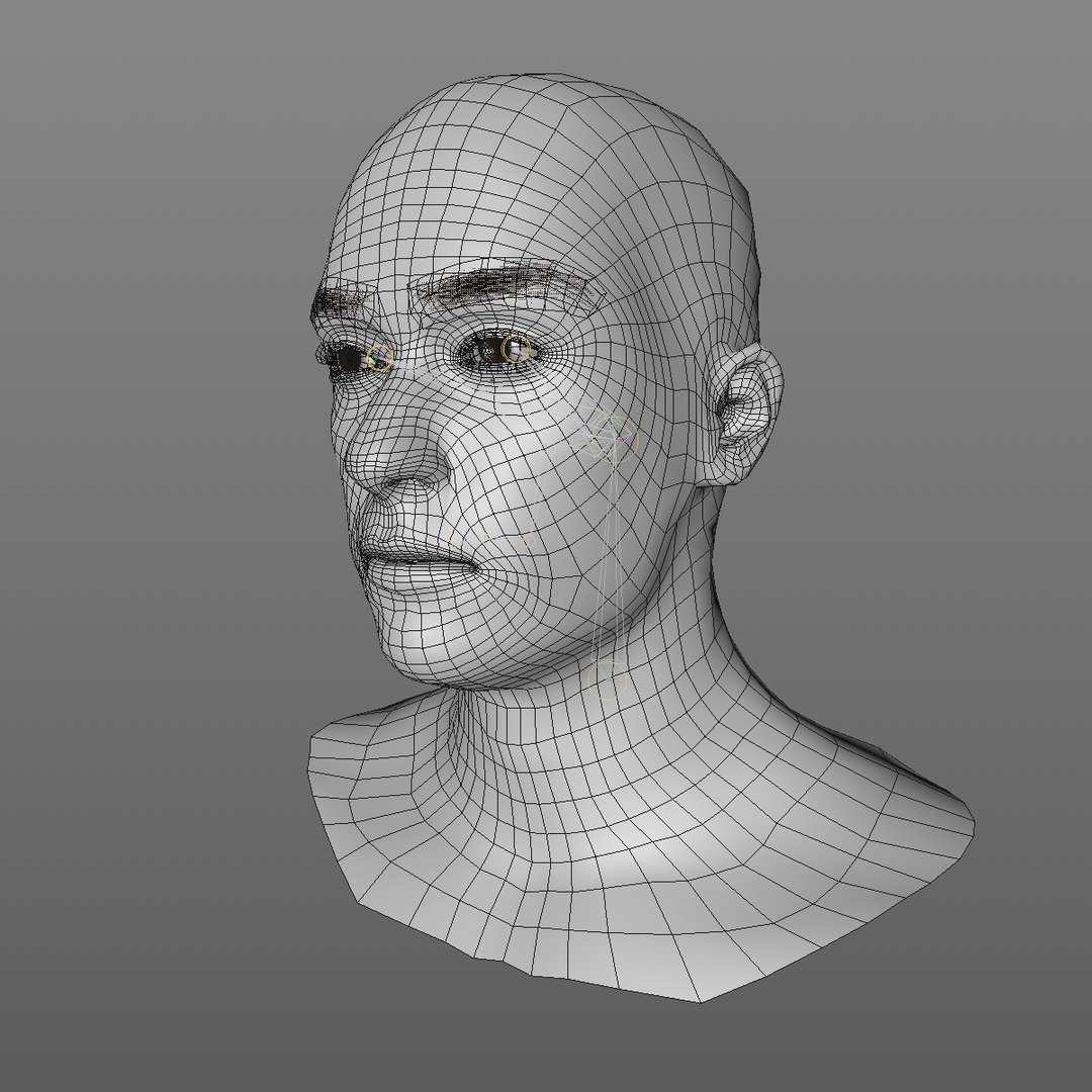 3D realistic head 24 year model https://p.turbosquid.com/ts-thumb/D3/YH2HMC/UrPr6JqT/24yreuromanv1head2_0001/jpg/1566210163/1920x1080/fit_q87/2e1ce567d3dfc920e40f588a6f43ad153c6a8edc/24yreuromanv1head2_0001.jpg