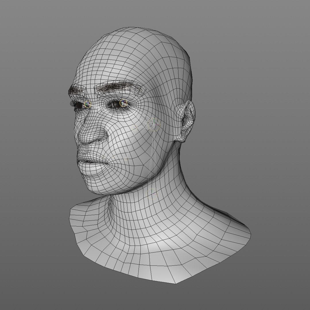 3D realistic head 24 year model https://p.turbosquid.com/ts-thumb/D3/YH2HMC/a2oUM7lS/24yrafricanmanhead2_0001/jpg/1566210023/1920x1080/fit_q87/deb0d56b1c0766f30d8095fab6ef952de662f5f7/24yrafricanmanhead2_0001.jpg