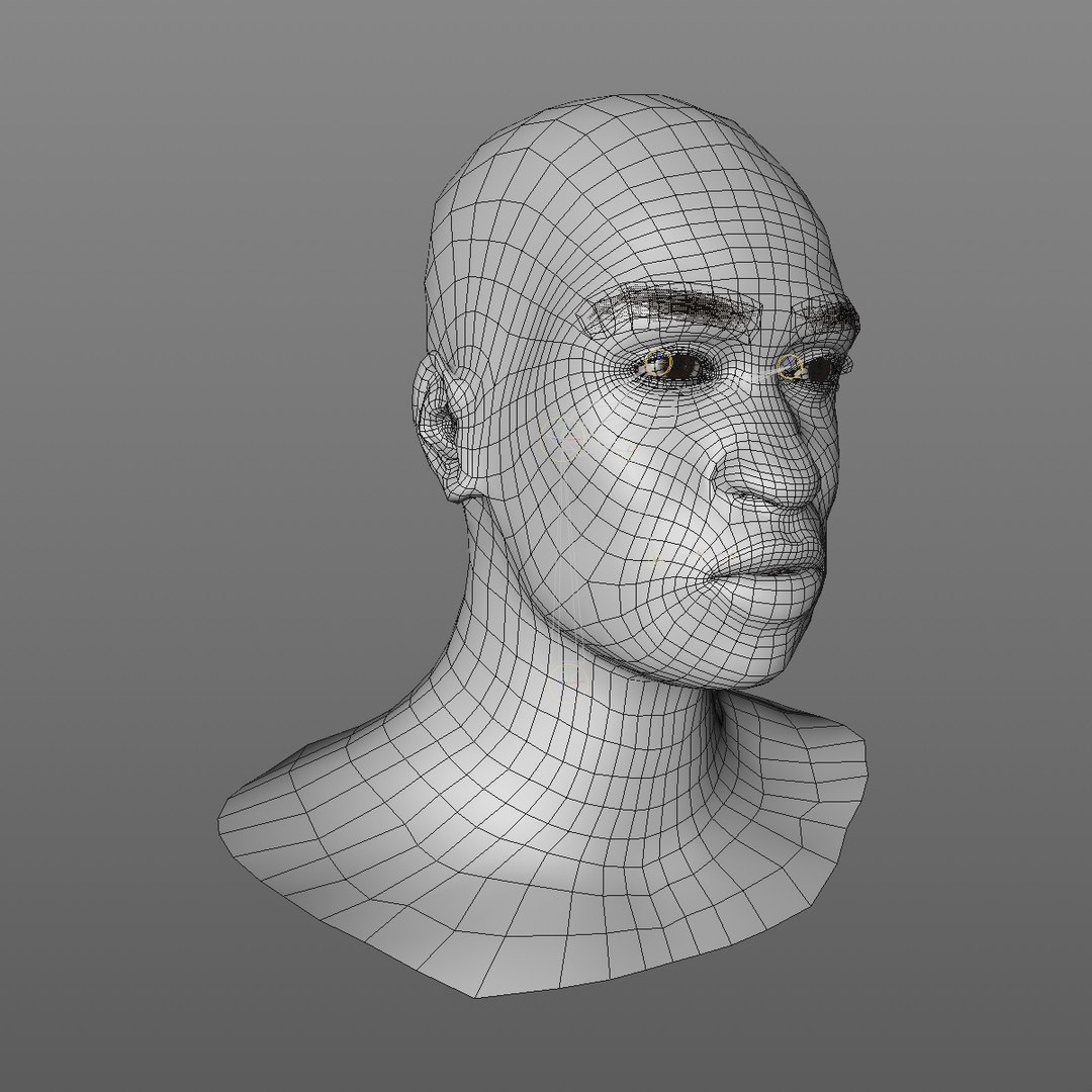 3D realistic head 24 year model https://p.turbosquid.com/ts-thumb/D3/YH2HMC/a9meLZDc/24yrafricanmanhead2_0011/jpg/1566210024/1920x1080/fit_q87/f9989c266e2fc8bff0393caf371b2605044635bb/24yrafricanmanhead2_0011.jpg