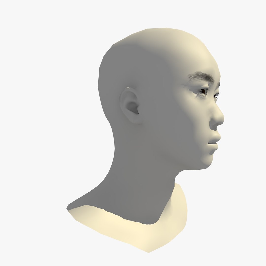 3D realistic head 24 year model https://p.turbosquid.com/ts-thumb/D3/YH2HMC/aAlkfAAT/24yrasianmanhead1_0010/jpg/1566210070/1920x1080/fit_q87/96d6ff03232348d98bbfe7b59cef65cd36a07c1d/24yrasianmanhead1_0010.jpg