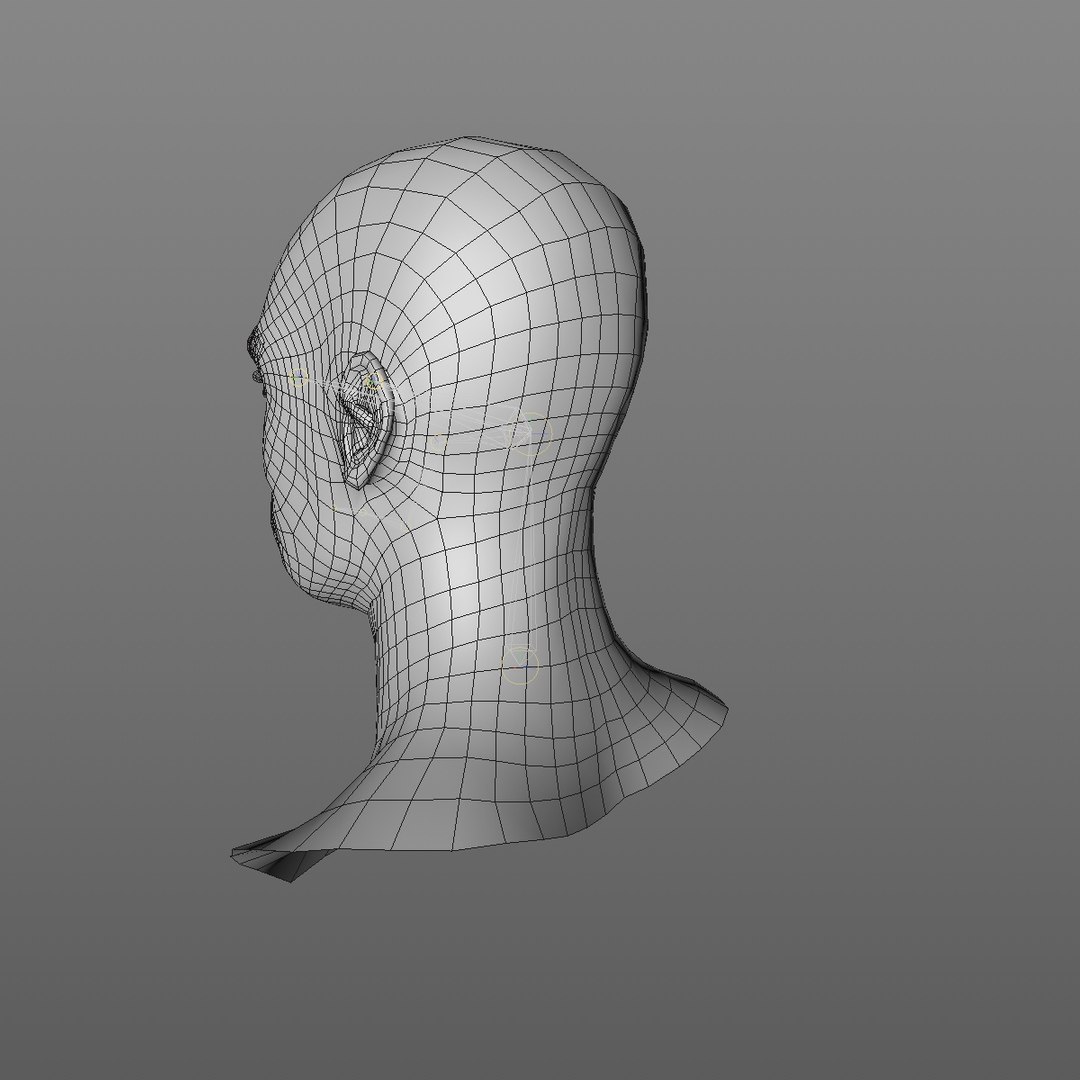 3D realistic head 24 year model https://p.turbosquid.com/ts-thumb/D3/YH2HMC/aCIeeyMC/24yrafricanmanhead2_0004/jpg/1566210023/1920x1080/fit_q87/d91d9a3d528feadee26da3a23e91e8744f286e95/24yrafricanmanhead2_0004.jpg