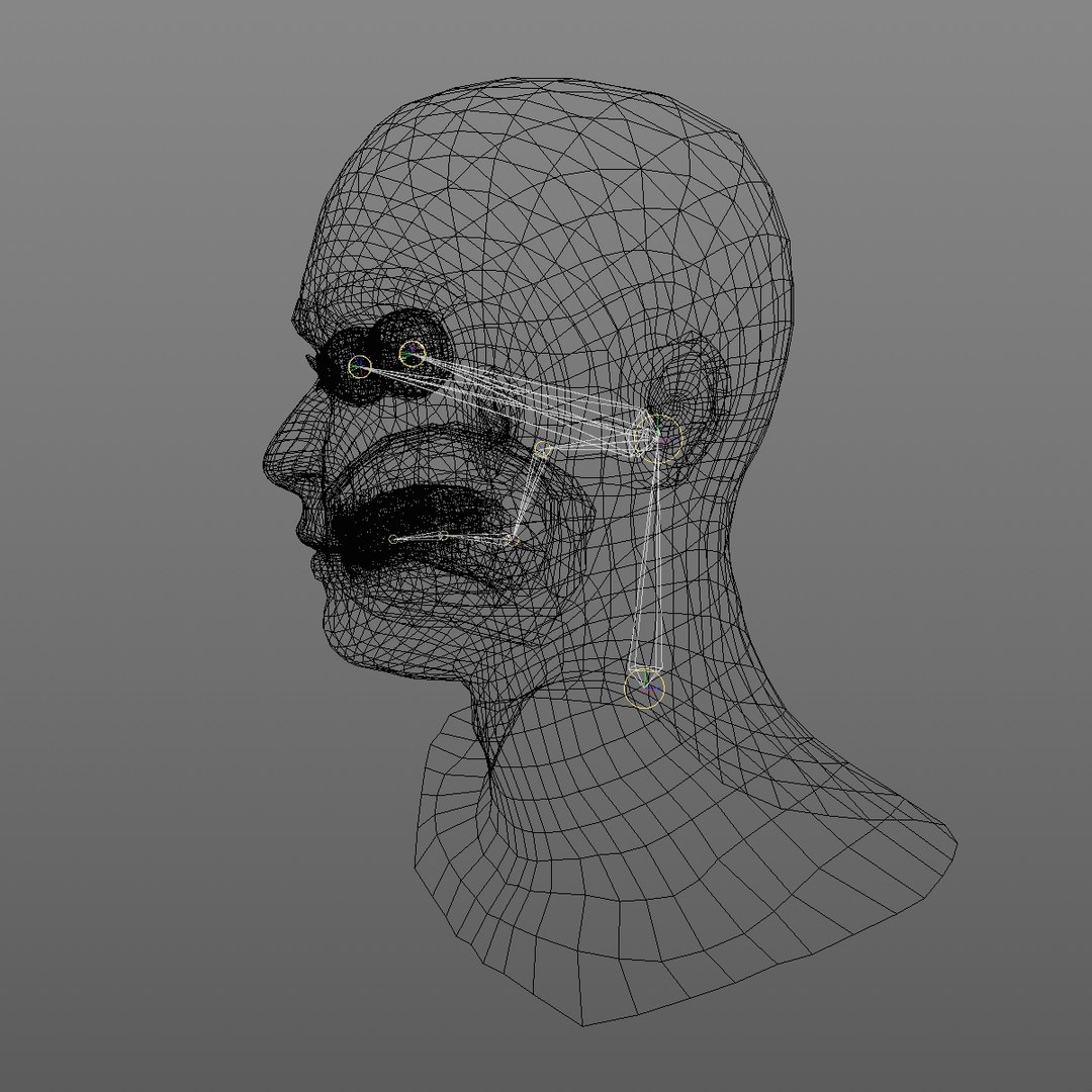 3D realistic head 24 year model https://p.turbosquid.com/ts-thumb/D3/YH2HMC/f1C70ryB/24yreuromanv1head2_0013/jpg/1566210164/1920x1080/fit_q87/f9b6f1bf92dffe0578fde83b914d2e7917c755dd/24yreuromanv1head2_0013.jpg