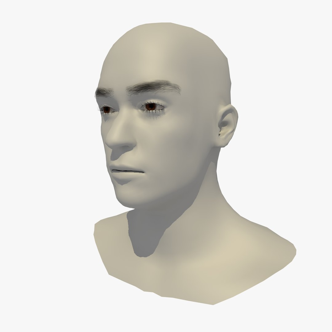 3D realistic head 24 year model https://p.turbosquid.com/ts-thumb/D3/YH2HMC/f2Py9tYA/24yreuromanv1head1_0001/jpg/1566210162/1920x1080/fit_q87/3456b53dd6d2267be6892b35fa3c271f02bbb966/24yreuromanv1head1_0001.jpg