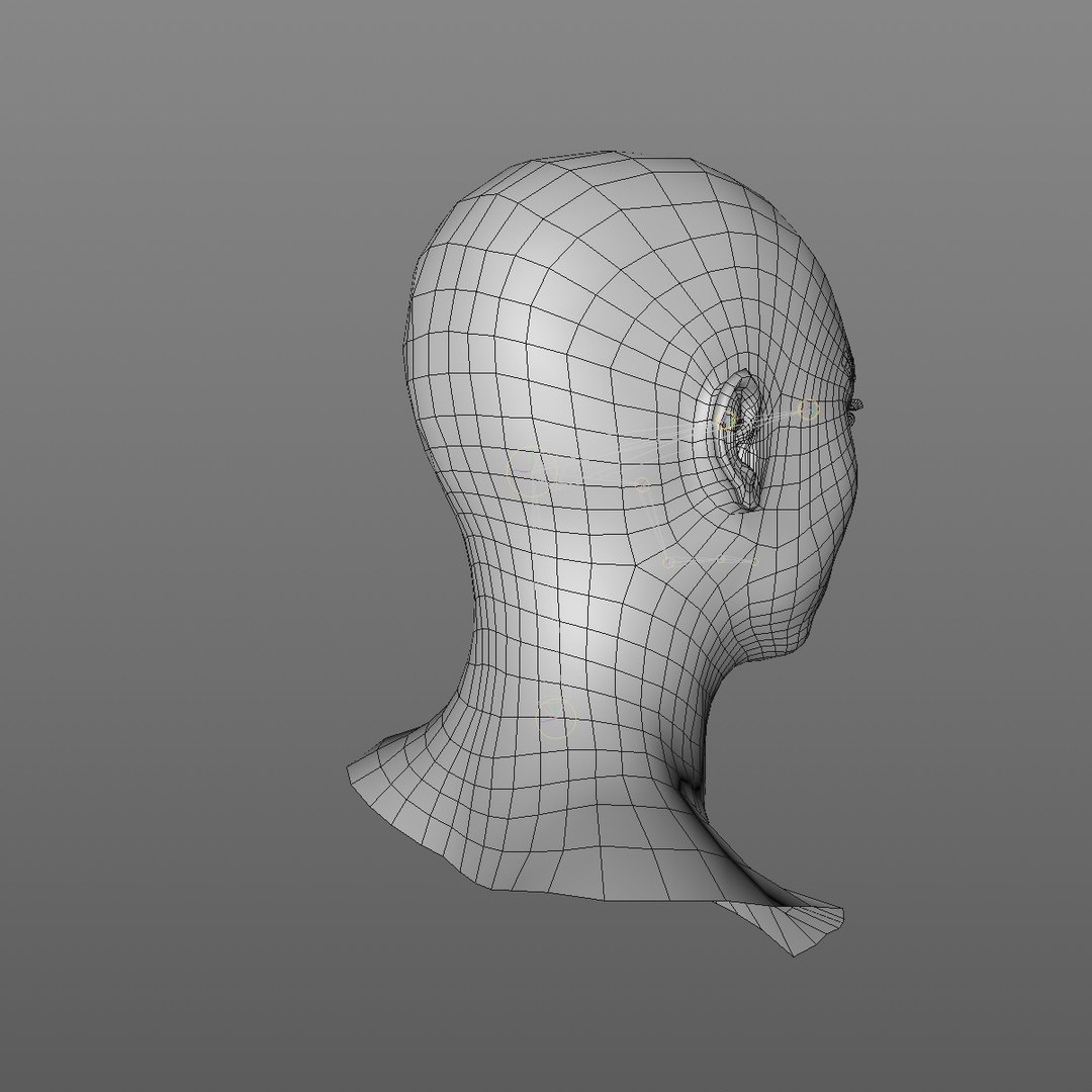 3D realistic head 24 year model https://p.turbosquid.com/ts-thumb/D3/YH2HMC/gJxEOBpU/24yrasianmanhead2_0008/jpg/1566210072/1920x1080/fit_q87/3b5a35e6d39ec56a6a190954e744d081677c1d0f/24yrasianmanhead2_0008.jpg