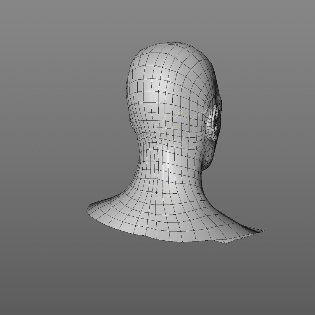 3D realistic head 24 year model https://p.turbosquid.com/ts-thumb/D3/YH2HMC/k1eN7Hyz/24yrafricanmanhead2_0007/jpg/1566210024/1920x1080/fit_q87/eff8b7bda9a4cfe4b65ed905d816c4b04eeac211/24yrafricanmanhead2_0007.jpg
