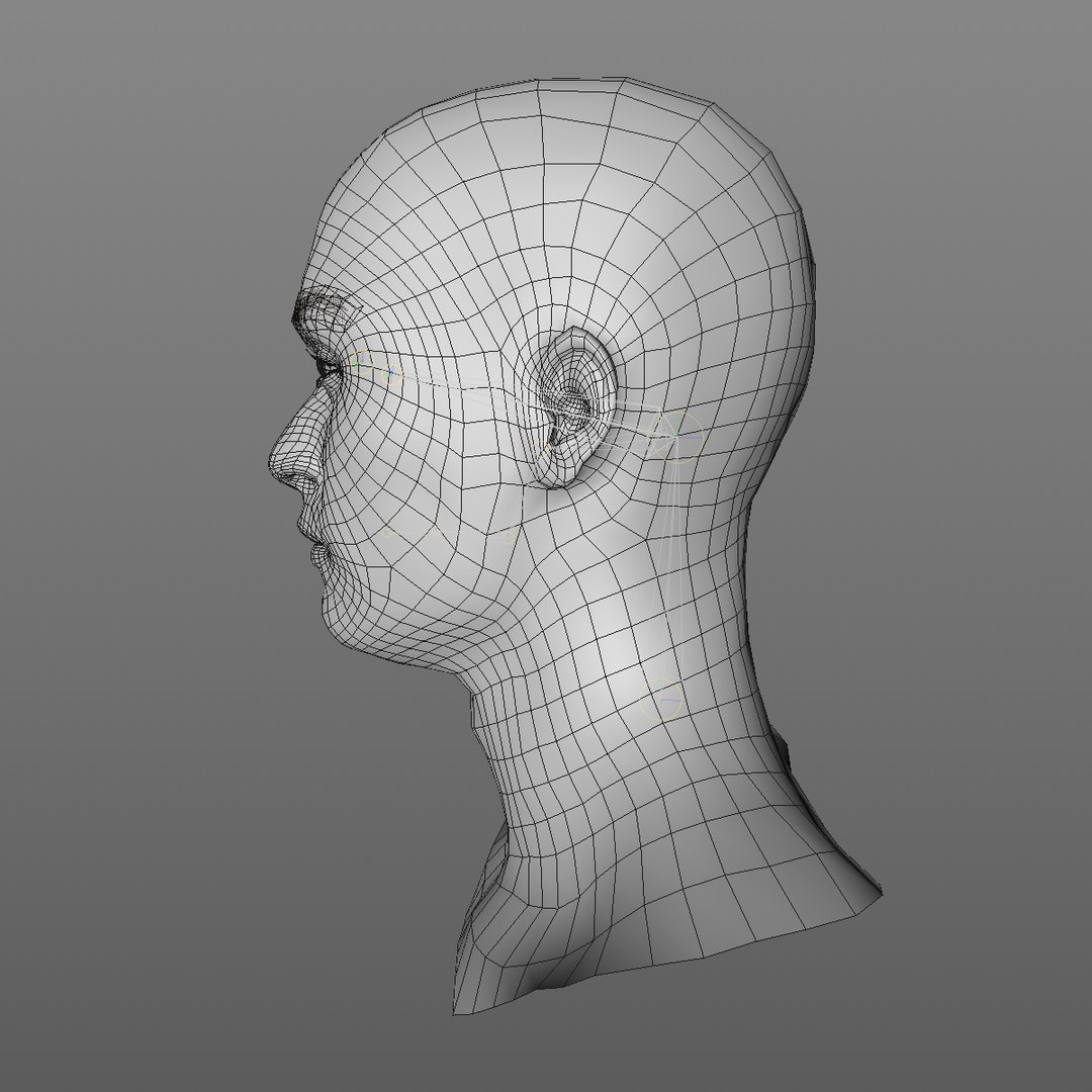 3D realistic head 24 year model https://p.turbosquid.com/ts-thumb/D3/YH2HMC/pEbAXP36/24yreuromanv1head2_0003/jpg/1566210163/1920x1080/fit_q87/c13bf4be2f637a97bd4afe5674817b4c80f1c333/24yreuromanv1head2_0003.jpg